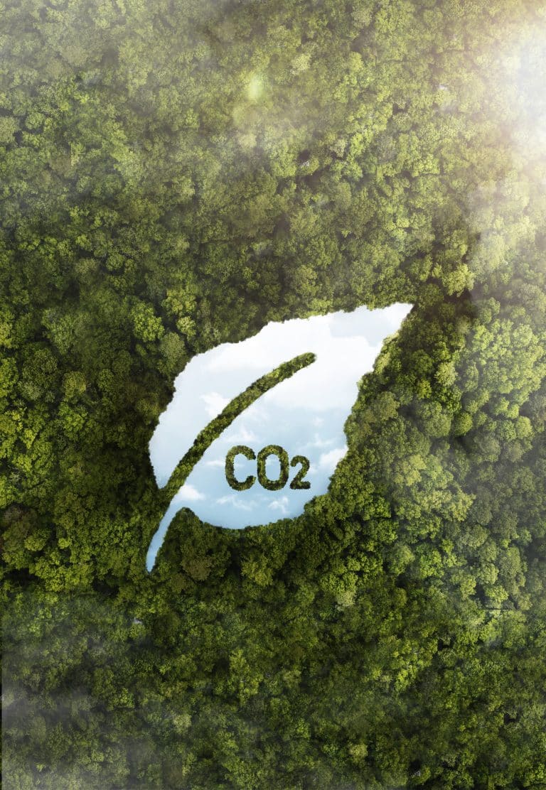emisní povolenky co2
