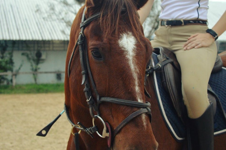 koňské polo