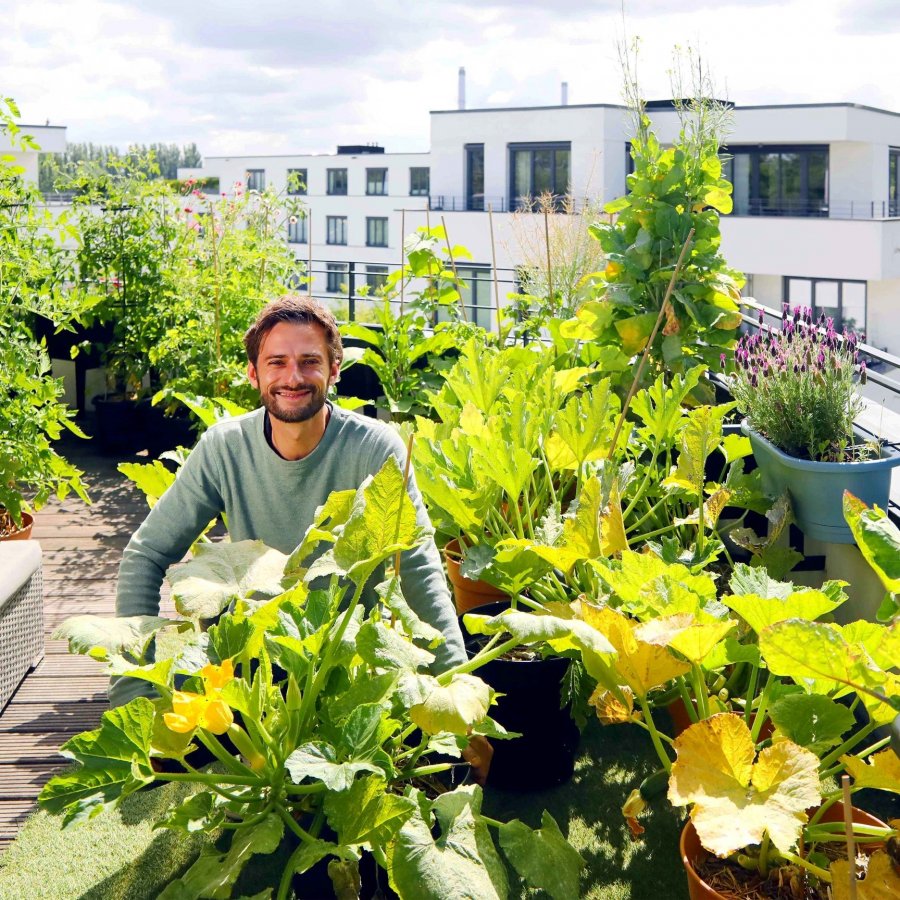 the frenchie gardener