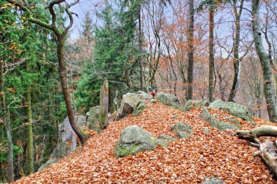 zricenina-hradku-sember