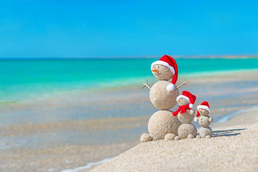 Merry (exotic) Christmas