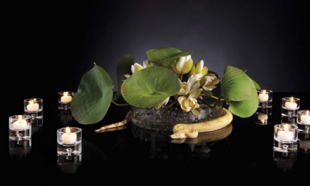 Máte zařízené bydlení podle feng shui?