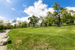 park