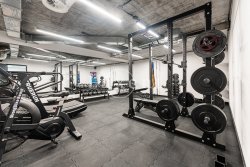 fitness