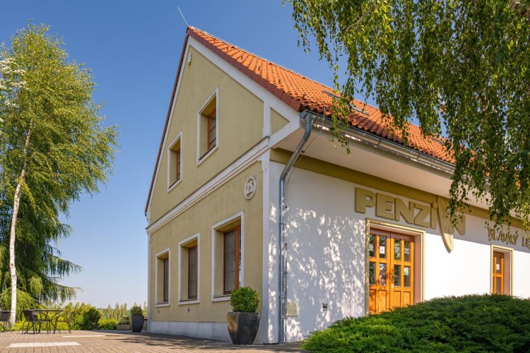 Sale of a recreational house 8+1, floor area 580 m², land 2,913 m², Kvítkovice, České Budějovice
