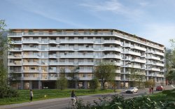 projekt NEAR living