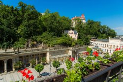 výhled z apartmánu