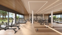 fitness