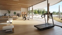 fitness