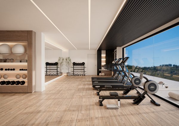 fitness