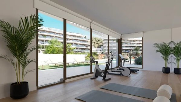 fitness