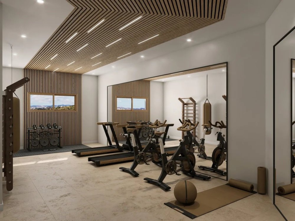 fitness