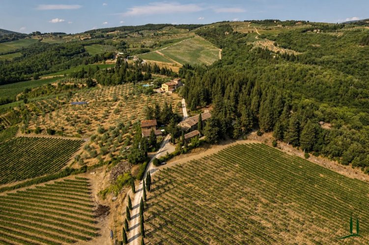 Prodej rodinného sídla s vínařstvím, Castellina in Chianti, Itálie