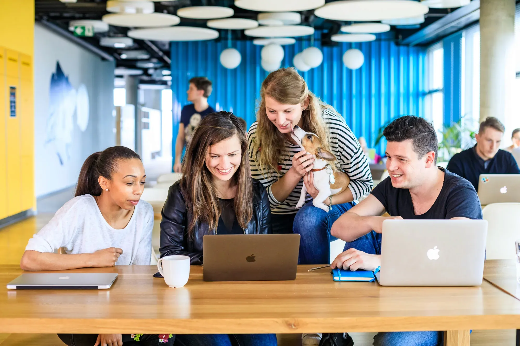 Startup with Google