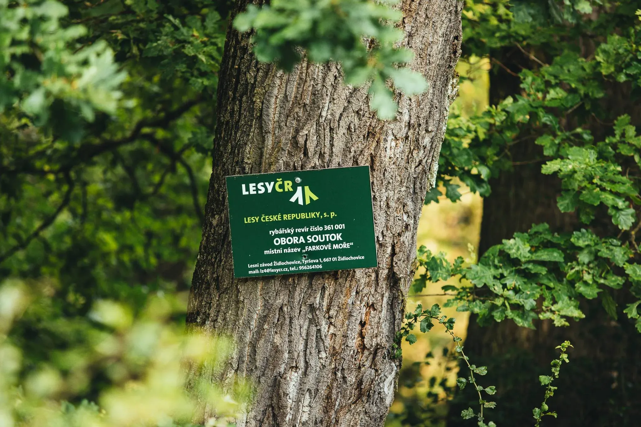 Lesy ČR